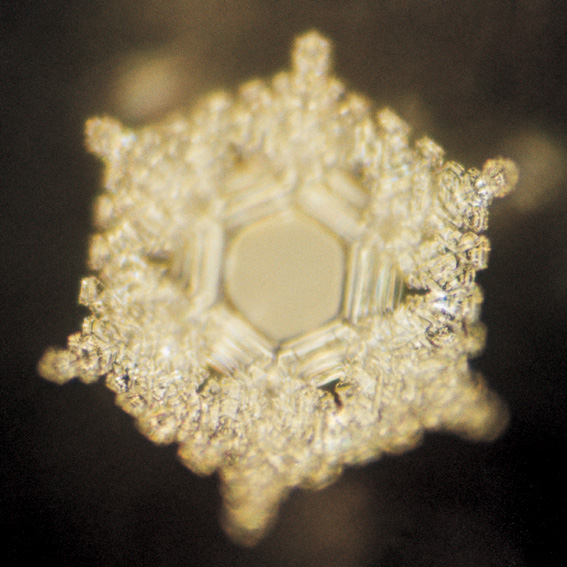 Cristal d’eau Love & Gratitude — Masaru Emoto